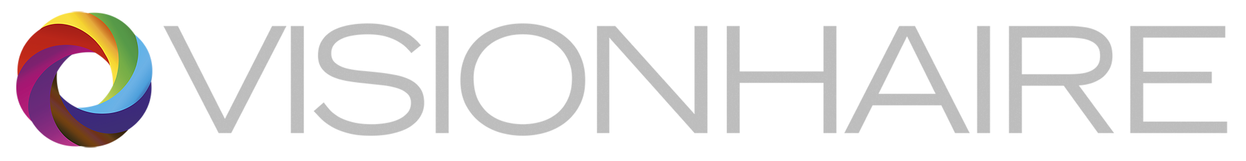 Logo Visionhaire